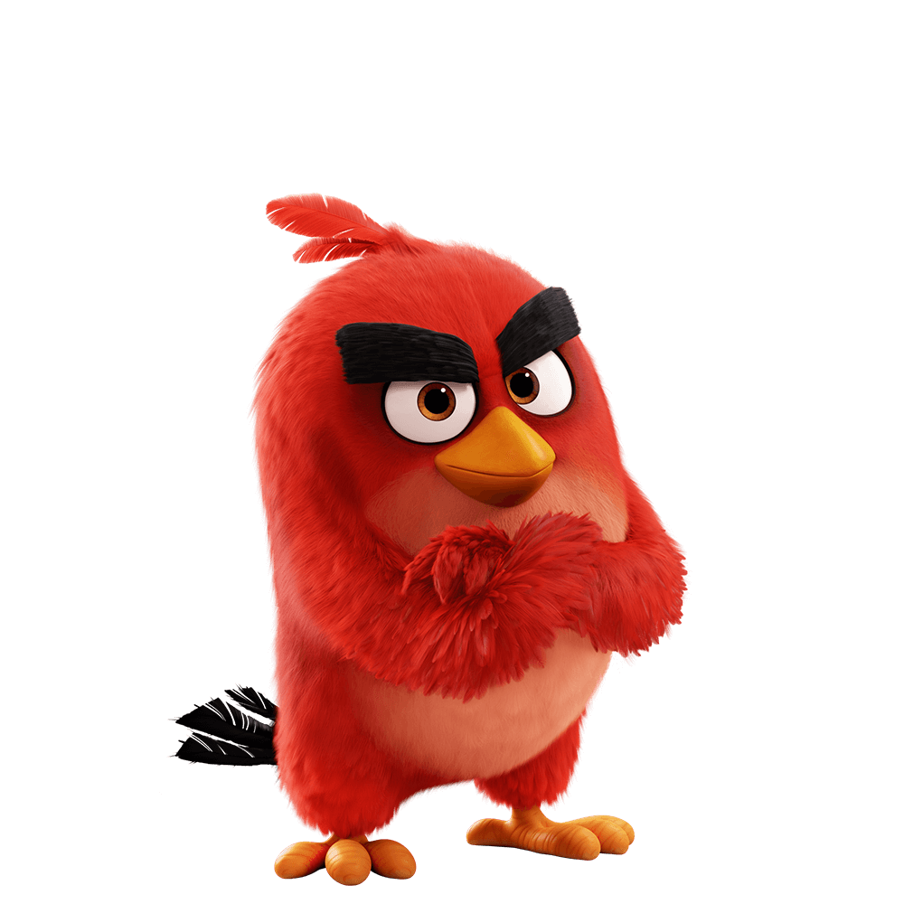 Incredible Compilation of Angry Bird Images in Full 4K Quality: Over ...