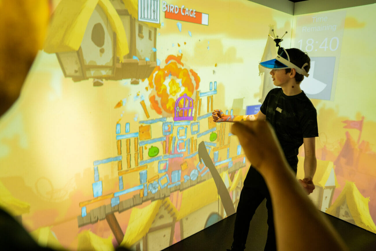 Angry Birds at Immersive Gamebox