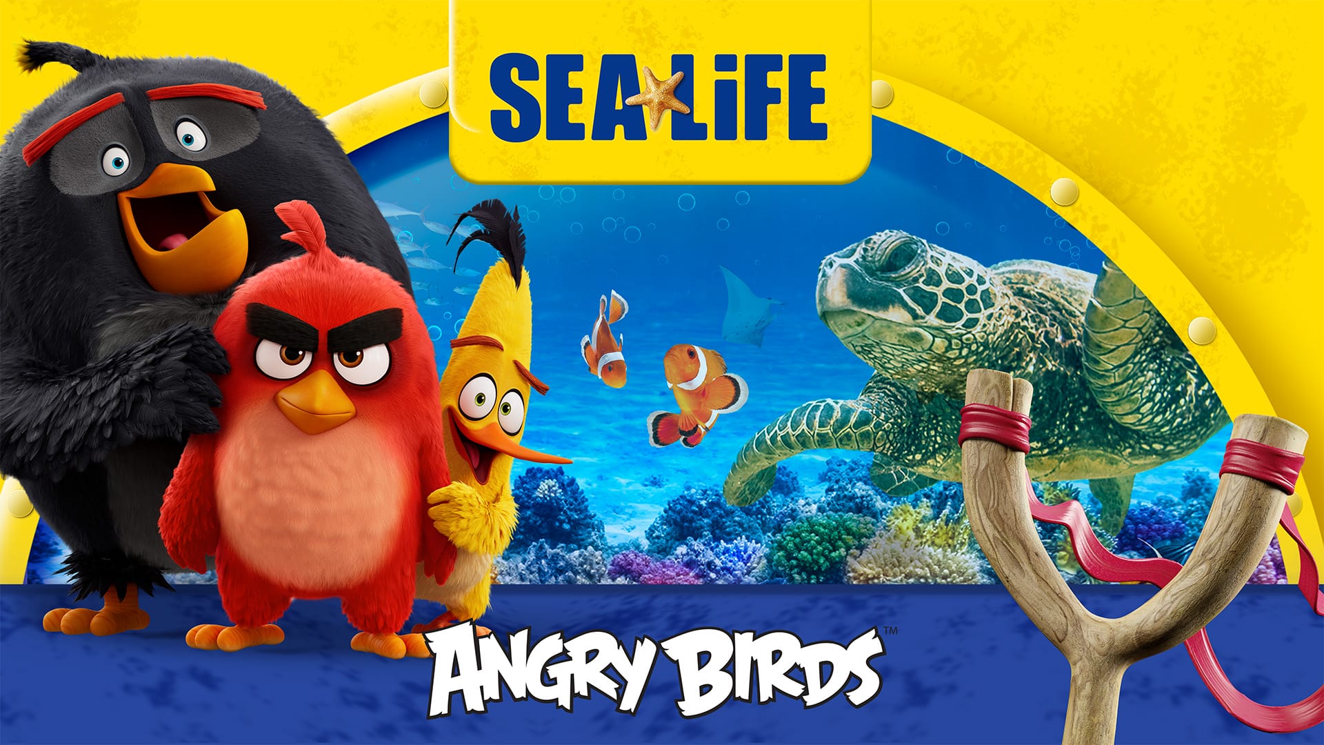SEALIFE x ANGRY BIRDS