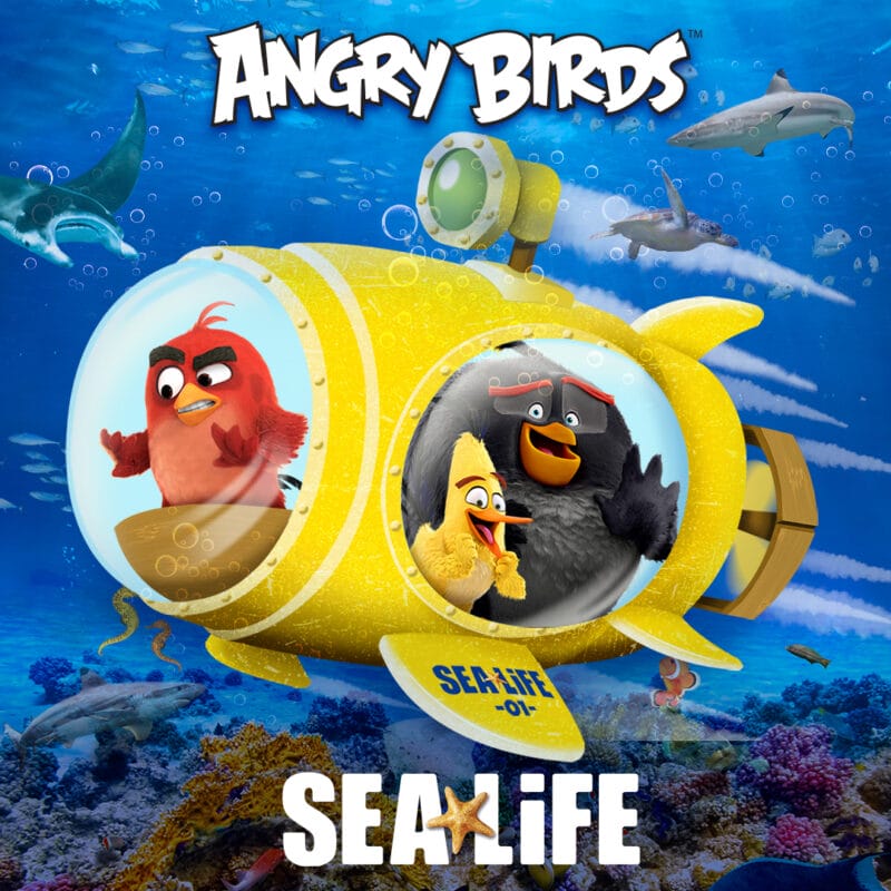 SEALIFE x ANGRY BIRDS