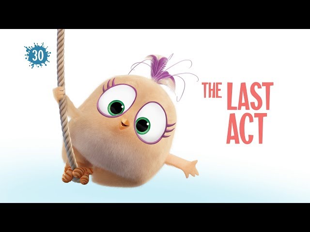 Angry Birds Blues | Angry Birds Angry Birds Blues | Angry Birds